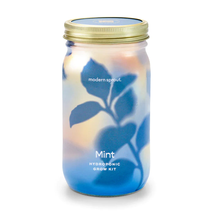 Modern Sprout Organic Herbs Gardening Jars