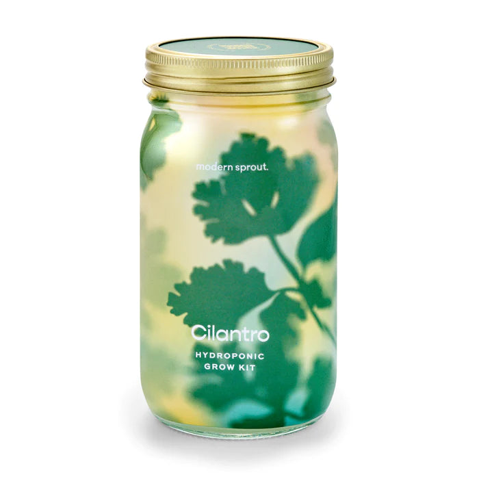 Modern Sprout Organic Herbs Gardening Jars