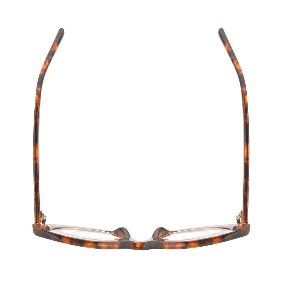 Ryan Simkhai Eyeshop Mika Readers Tortoise