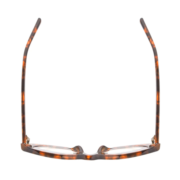 Ryan Simkhai Eyeshop Mika Readers Tortoise