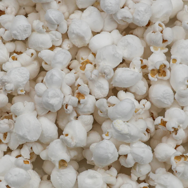 Amish Country Popcorn 14oz Bottle of Baby White Popcorn