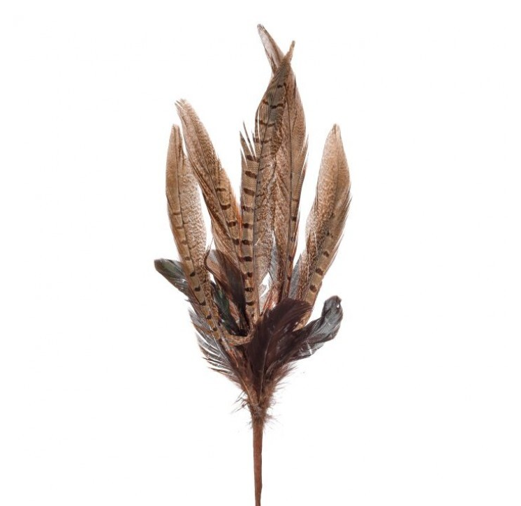 Natural Feather Spray