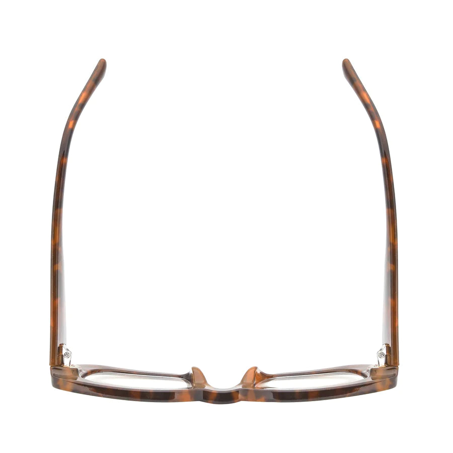 Ryan Simkhai Eyeshop Raya Readers Tortoise