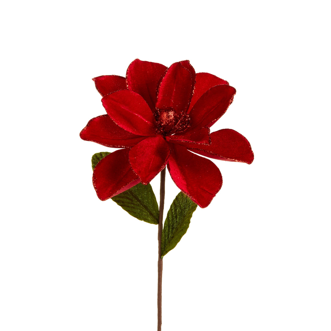 Red Velvet Magnolia Stem