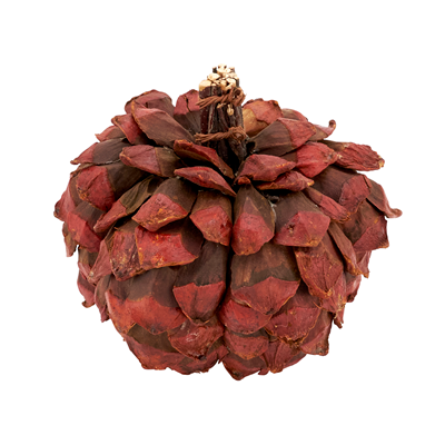 Pumpkin Orange Pinecone