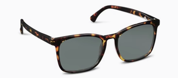 Peepers Polarized Sunglasses Mateo Tortoise