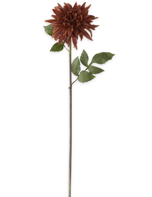 Light Brown Dahlia Stem