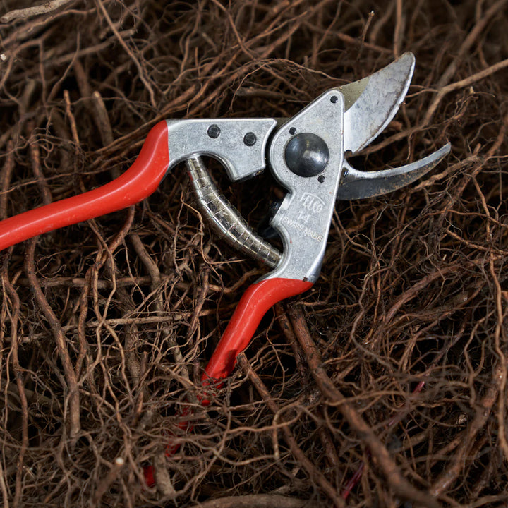 FELCO 14 Pruning Shears