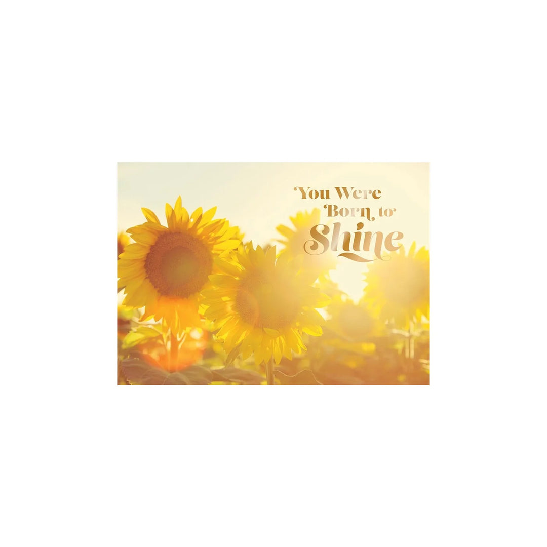 Sunflower Field Greeting Card