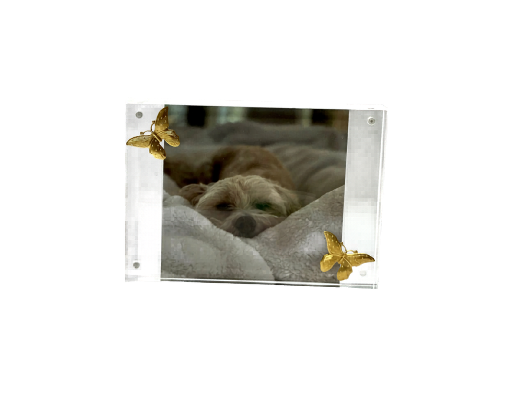 Acrylic Picture Frame
