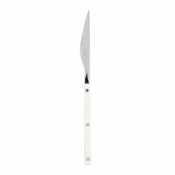 Vietri Pastello Place Knife