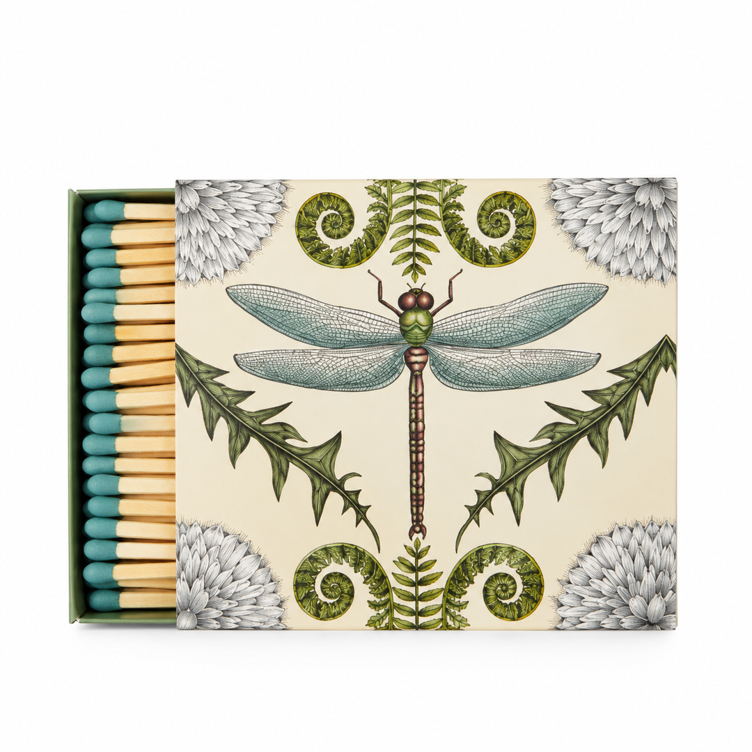 Dragonfly Matchbox