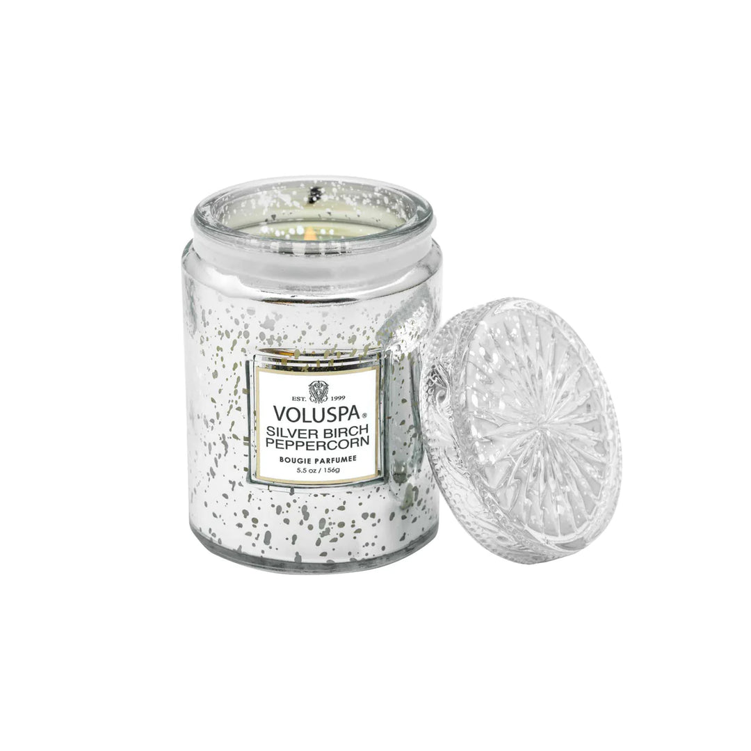Voluspa - Silver Birch Peppercorn Candle