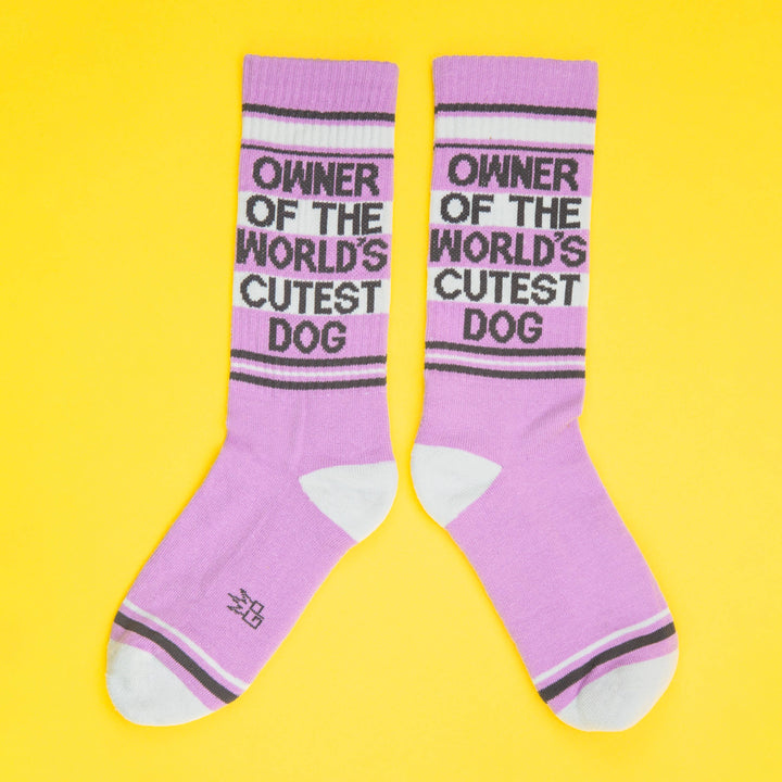 Gumball Poodle Owner Of The World's Cutest Dog Crew Socks