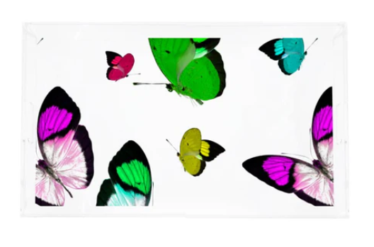 Nicolette Mayer Collection Acrylic Vanity Tray