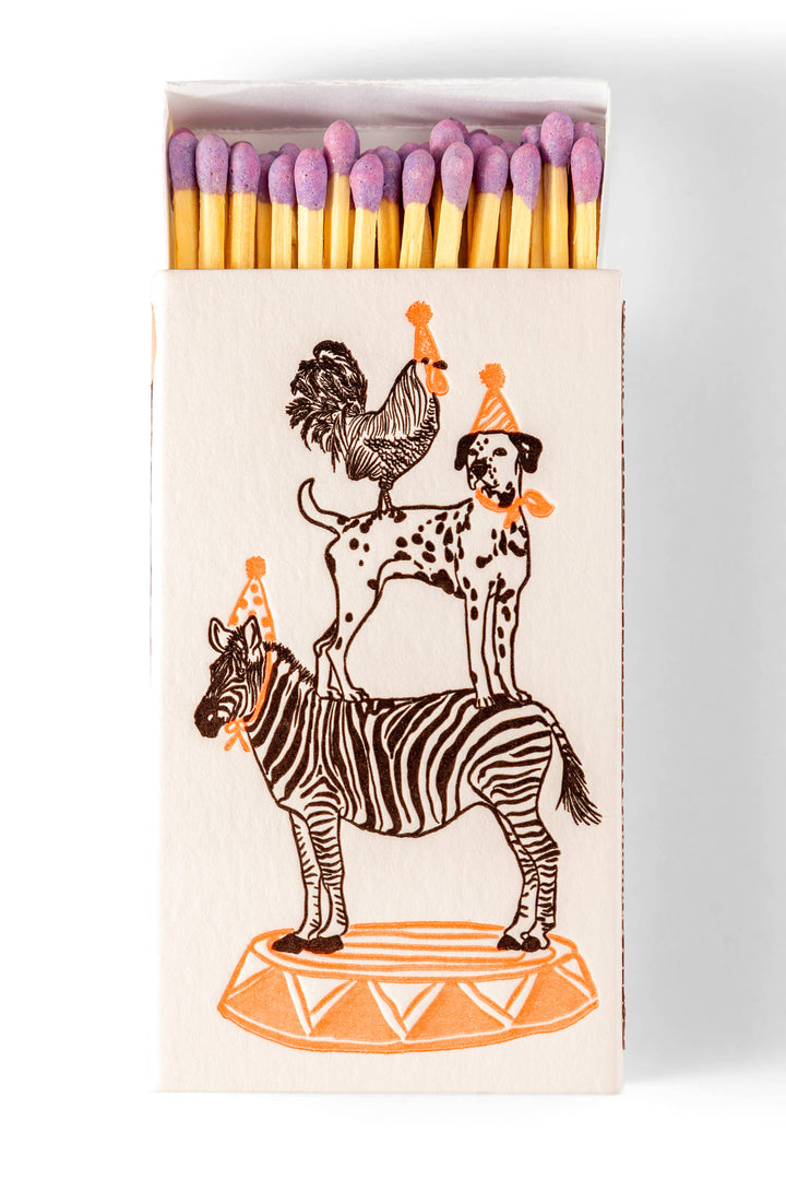Color Box Design Party Animals Safety Matches