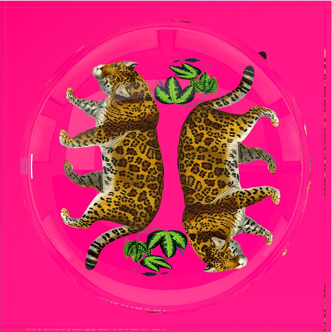 Nicolette Mayer Acrylic Candy Dish