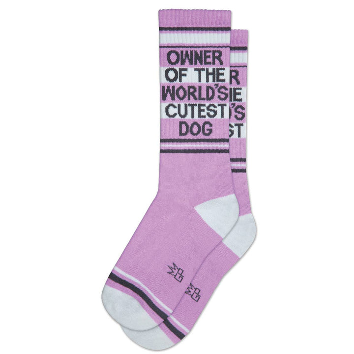 Gumball Poodle Owner Of The World's Cutest Dog Crew Socks