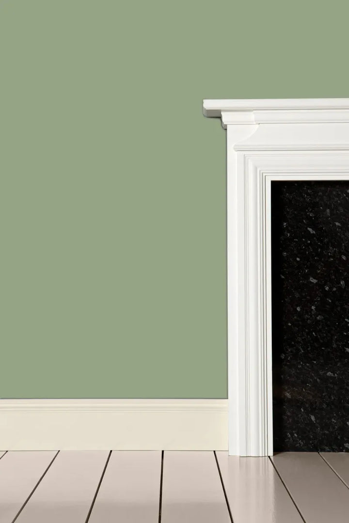 Farrow & Ball No. 19 Lichen
