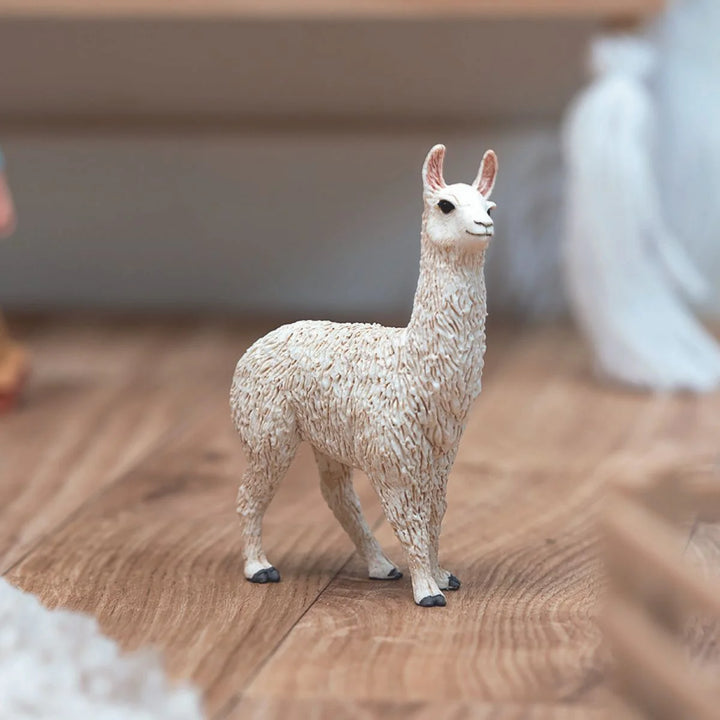 Schelich Llama