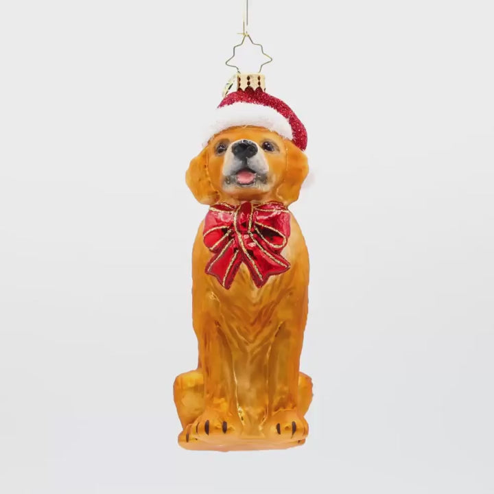 Christopher Radko Golden Paw Pal Ornament