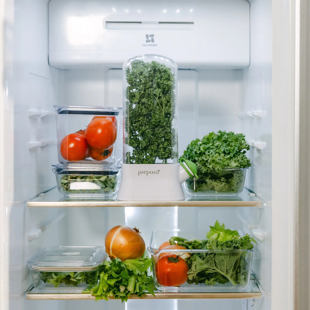 Herb Savor Eco
