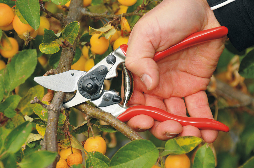 Felco - 6 One-hand pruning shear
