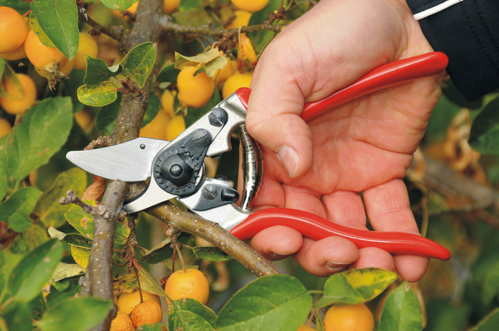 Felco - 6 One-hand pruning shear