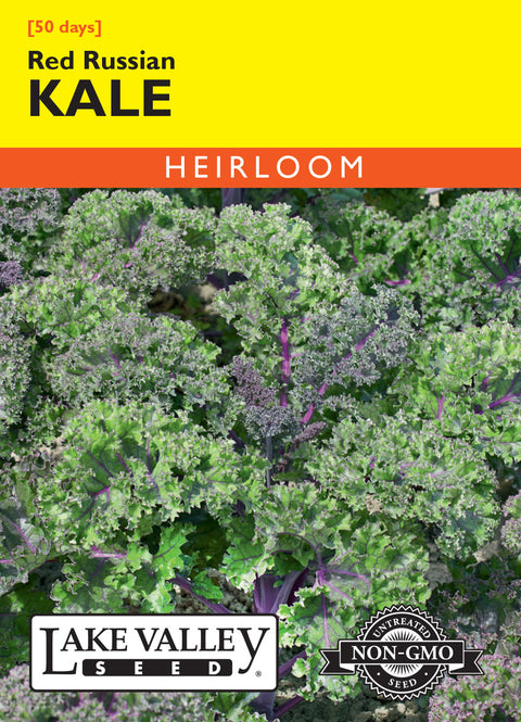 Lake Valley Seed - Red Russian Kale