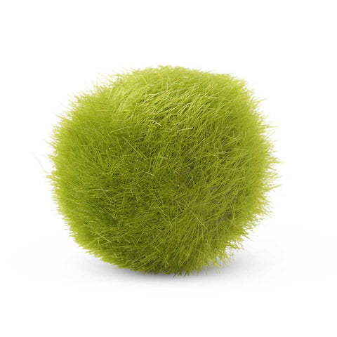Fuzzy Moss Ball