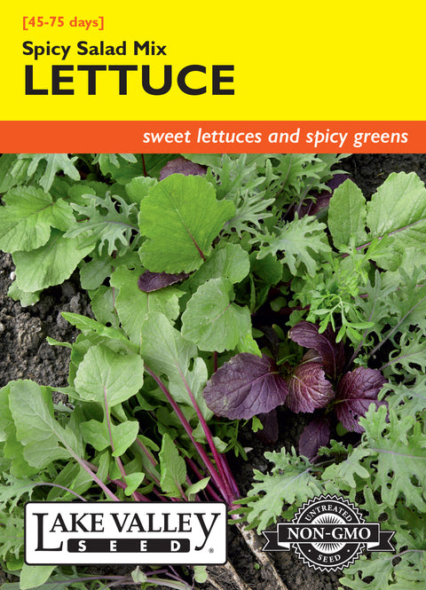 Lake Valley Seed - Spicy Salad Lettuce Mix