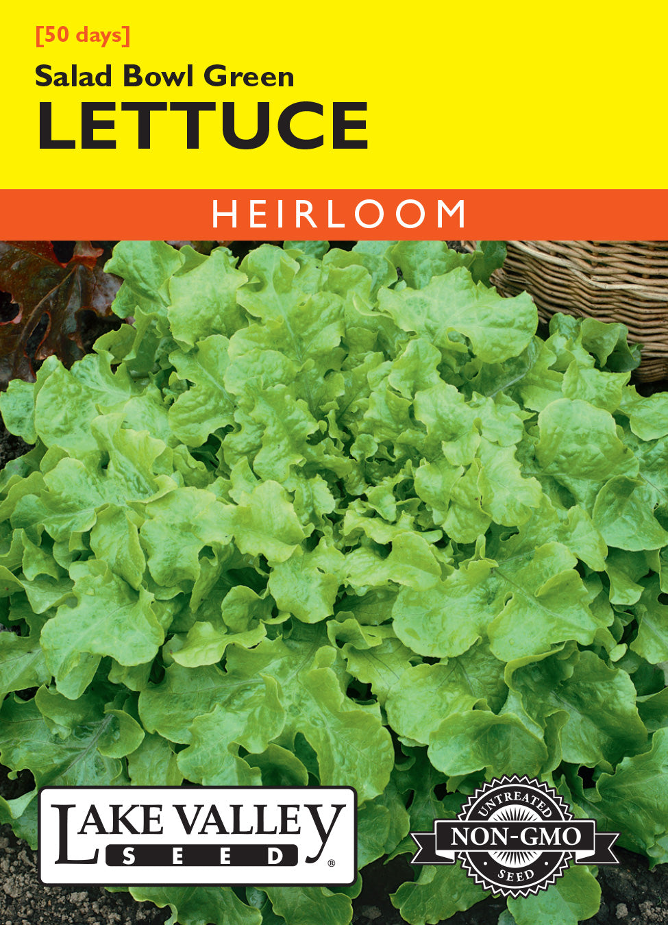 Lake Valley Seed Salad Bowl Green Lettuce