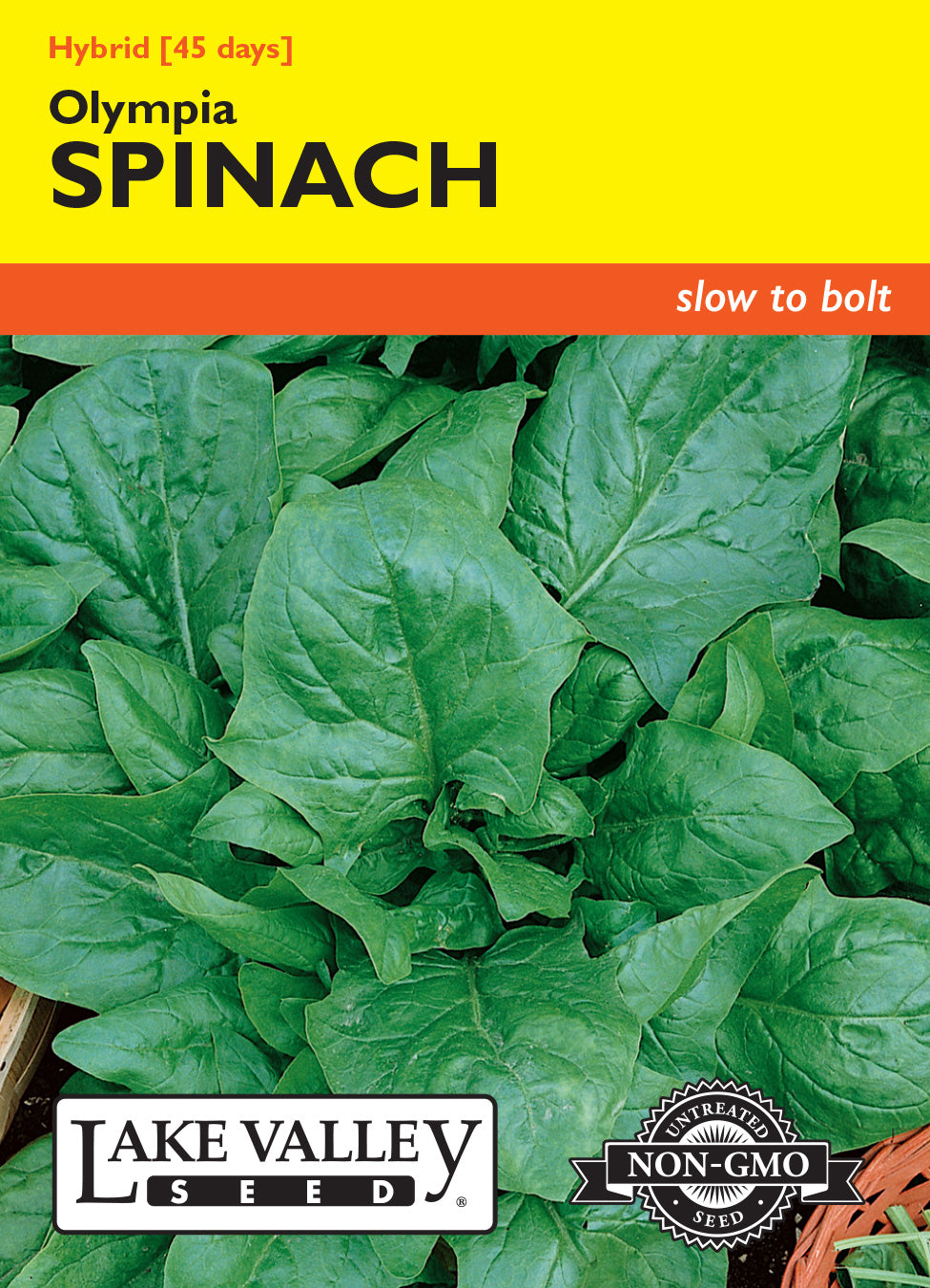 Lake Valley Seed Olympia Spinach
