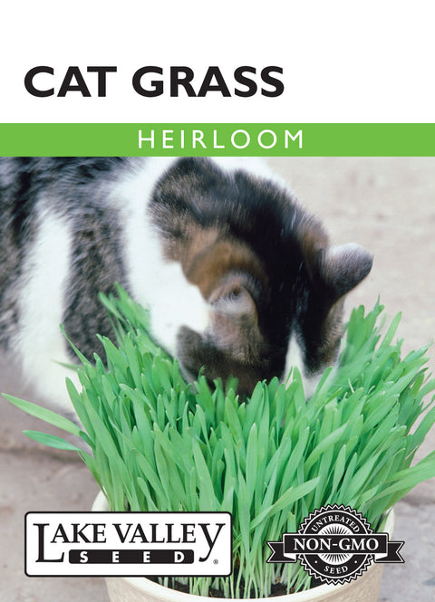 Lake Valley Seed - Cat Grass