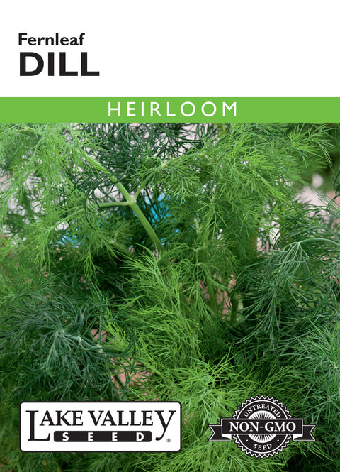 Lake Valley Seed - Fernleaf Dill