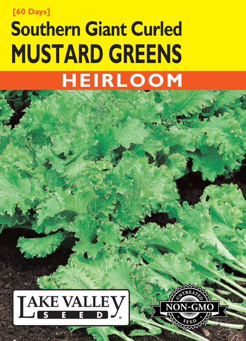 Lake Valley Seed - Southern Giant Curled Mustard Greens