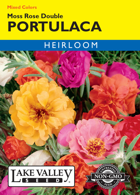 Lake Valley Seed - Double Mixed Moss Rose Portulaca