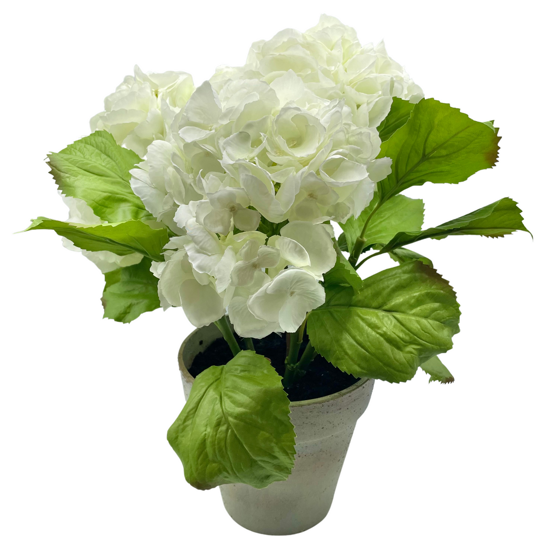Hydrangea Pot - White