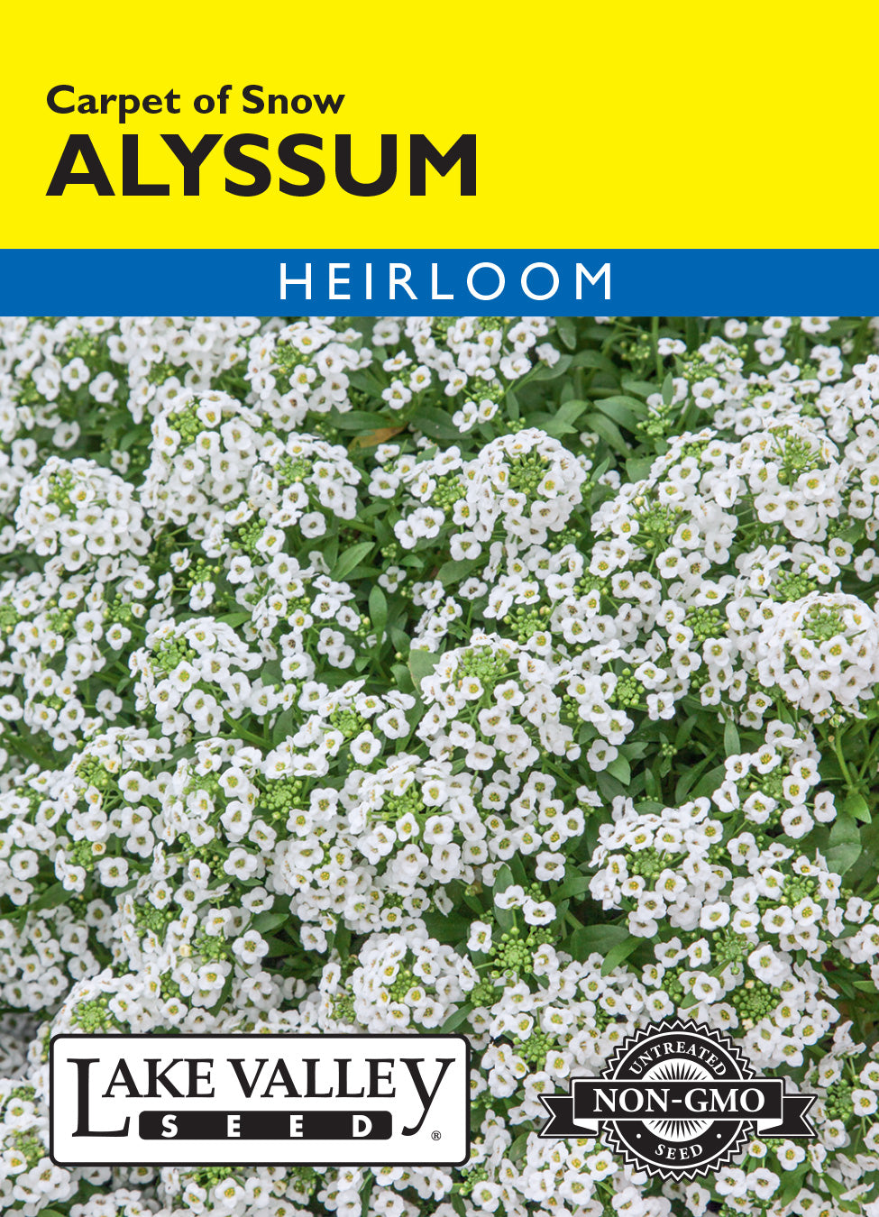 Lake Valley Seed Carpet of Snow Alyssum