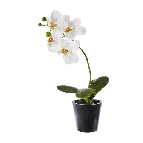 Real Touch Potted White Orchids