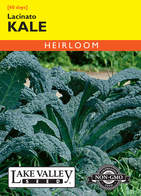 Lake Valley Seed - Lacinato Kale