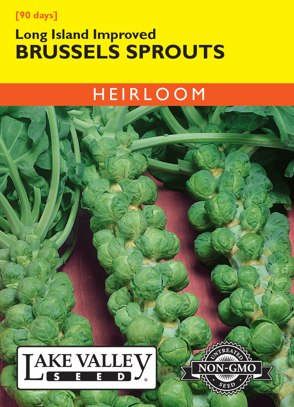 Lake Valley Seed Long Island Improved Brussels Sprouts