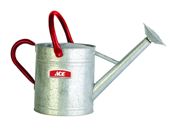 Gray Steel 2-Gallon Watering Can