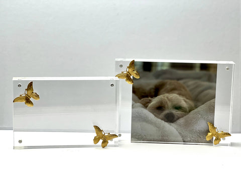 Acyrlic Butterfly Picture Frame