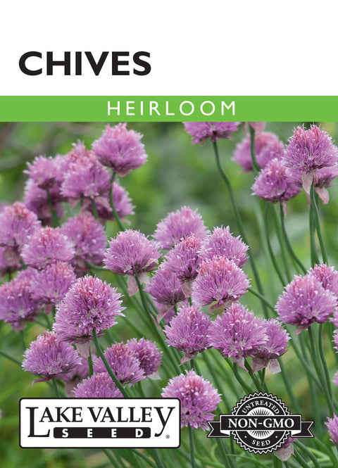Lake Valley Seed - Heirloom Chives