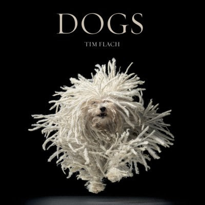 Dogs By Tim Flach