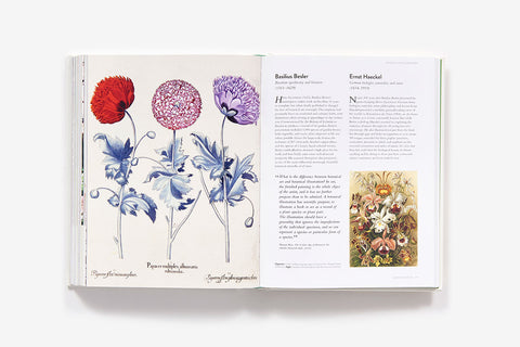 The Botanical Bible: Plants, Flowers, Art, Recipes, & Other Home Uses