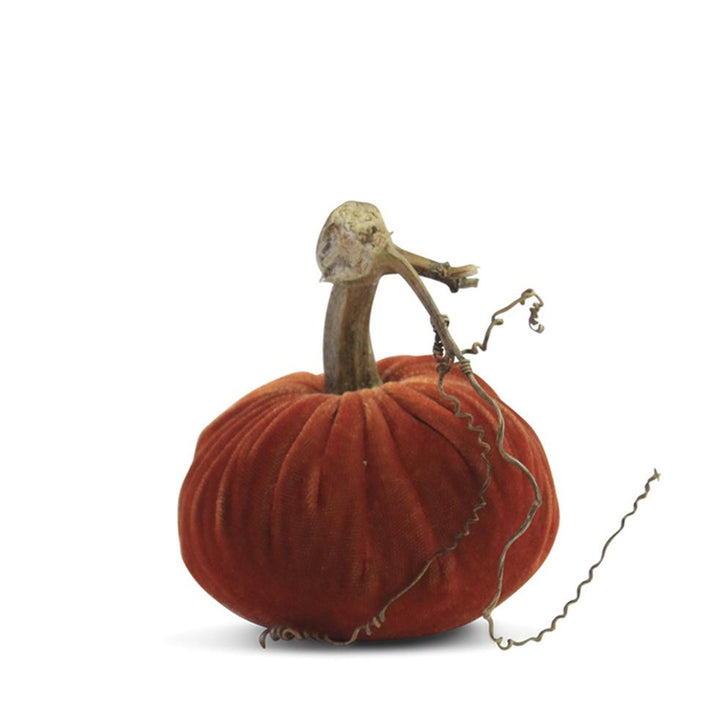 Plush Pumpkin Apricot