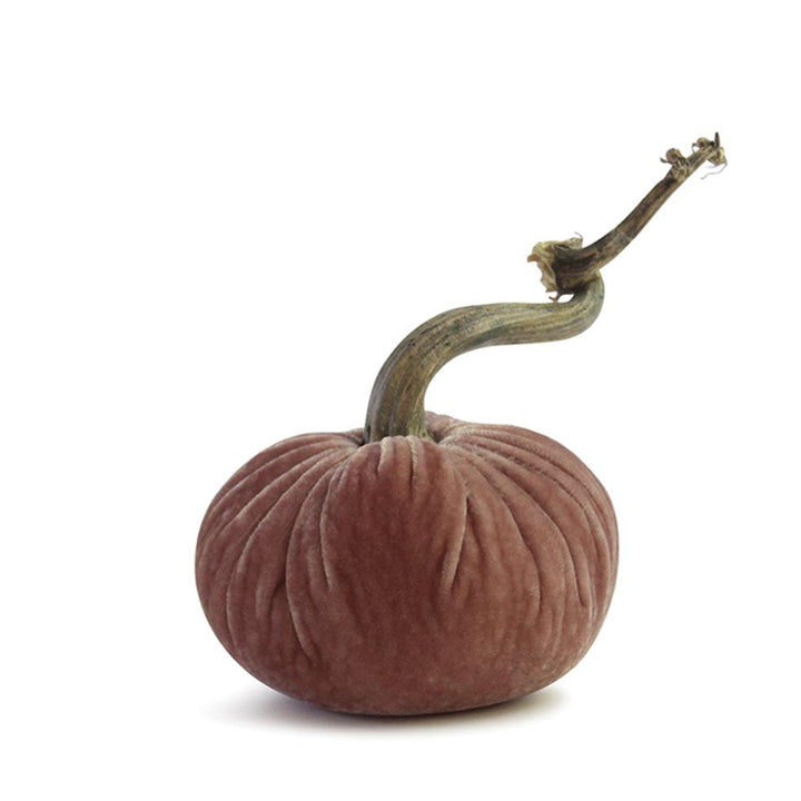 Plush Pumpkin Blush