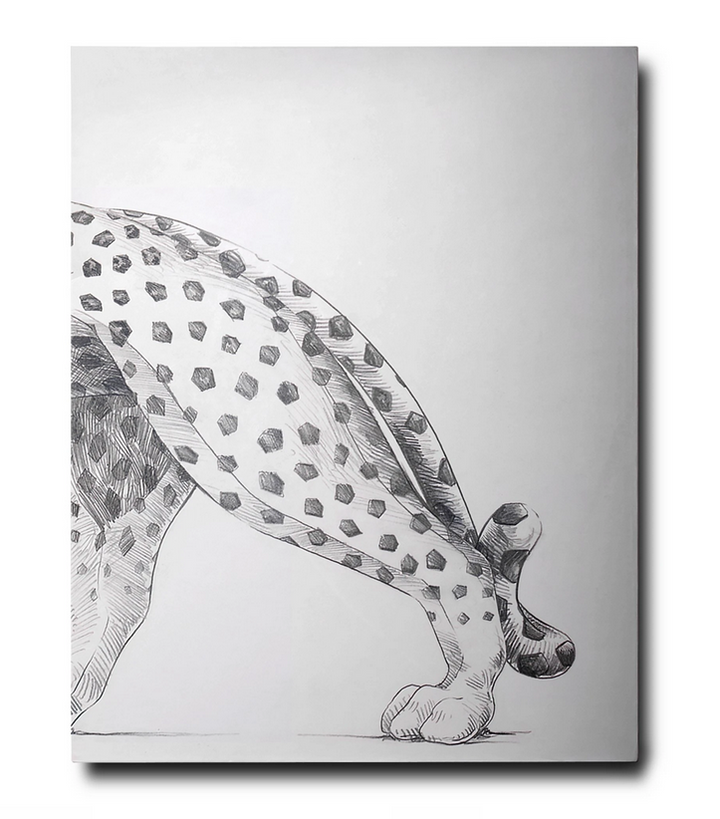 Assouline Cartier Panthère